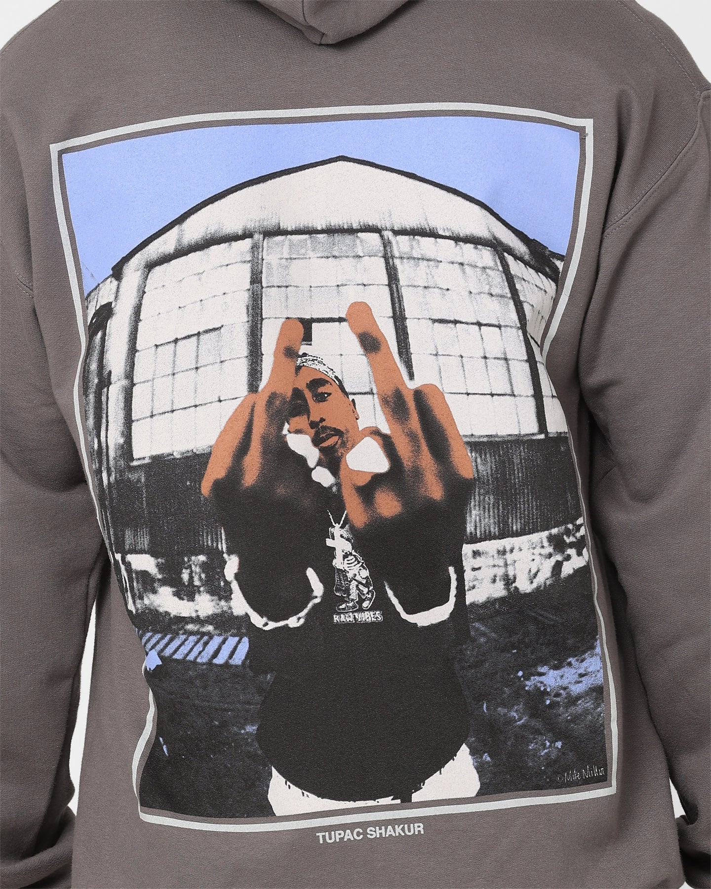 Durable Shield kids Tupac Thug Life Hoodie Grey