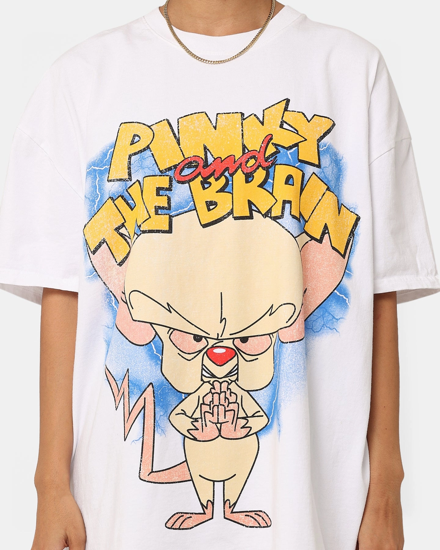 Fit for All Seasons American Thrift X Cartoon Network Pinky & The Brain Heavyweight Vintage T-Shirt White