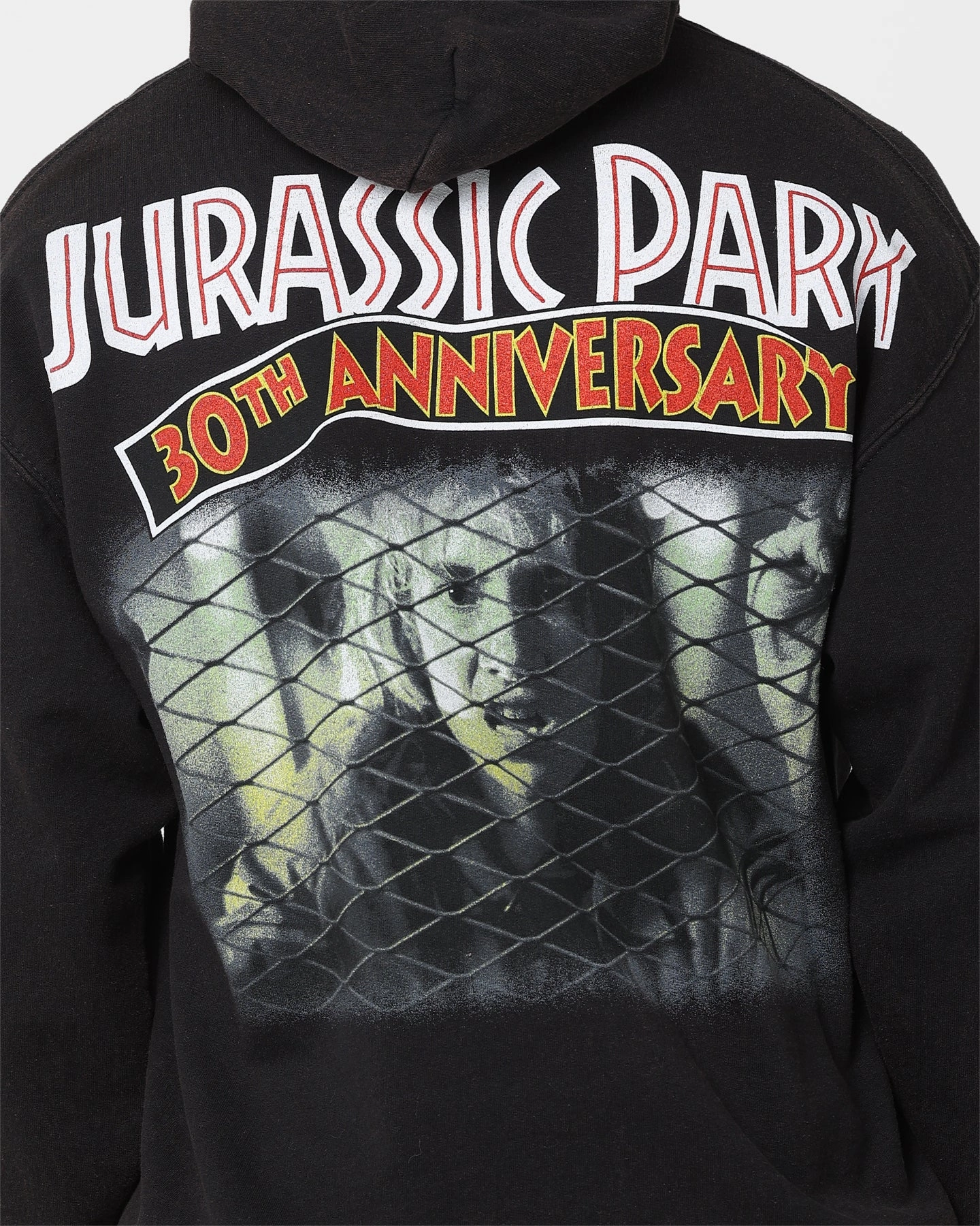 Protective Layering Beach Holiday American Thrift X Jurassic Park 30th Anniversary Hoodie Black Wash