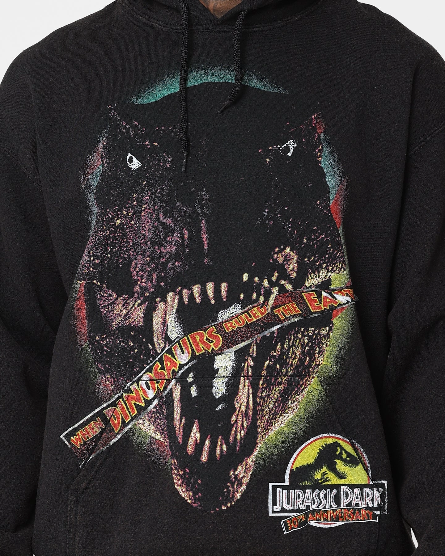 Lightweight Waterproof Taped Edges American Thrift X Jurassic Park 30th Anniversary Hoodie Black Wash