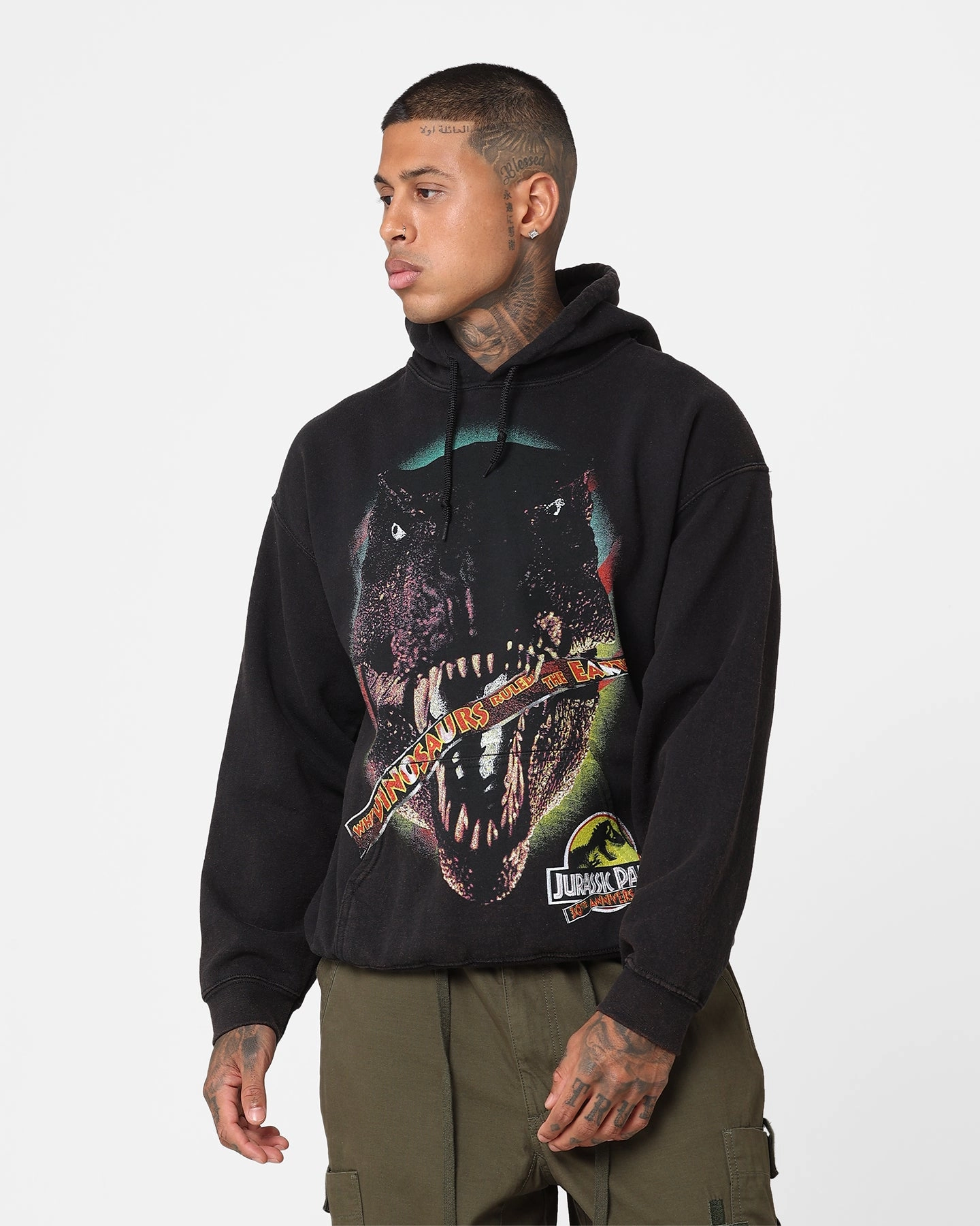 Lightweight Fabric American Thrift X Jurassic Park 30th Anniversary Hoodie Black Wash