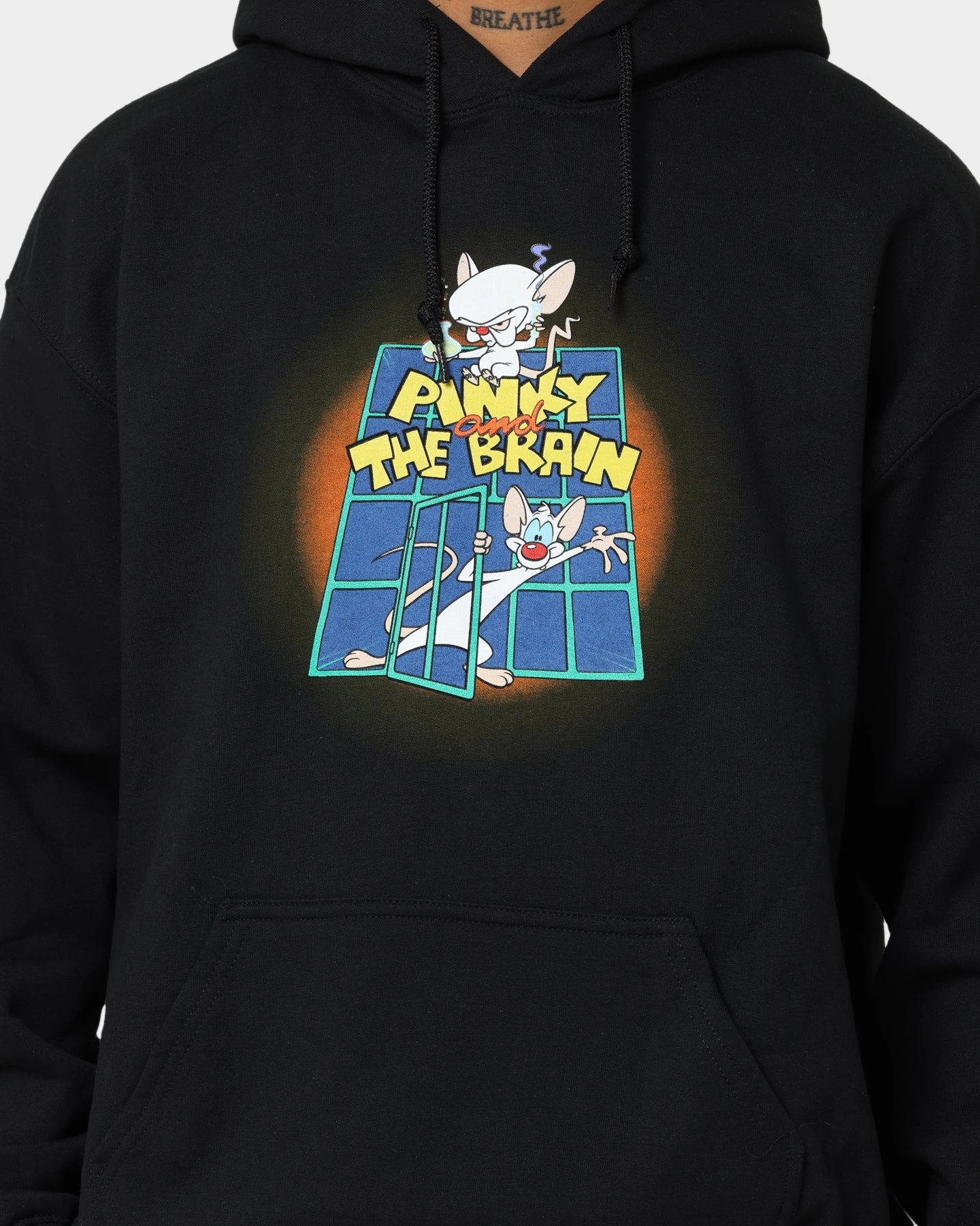 suitable for casual gatherings American Thrift X Pinky And The Brain Pinky And The Brain Vintage Hoodie Black Wash