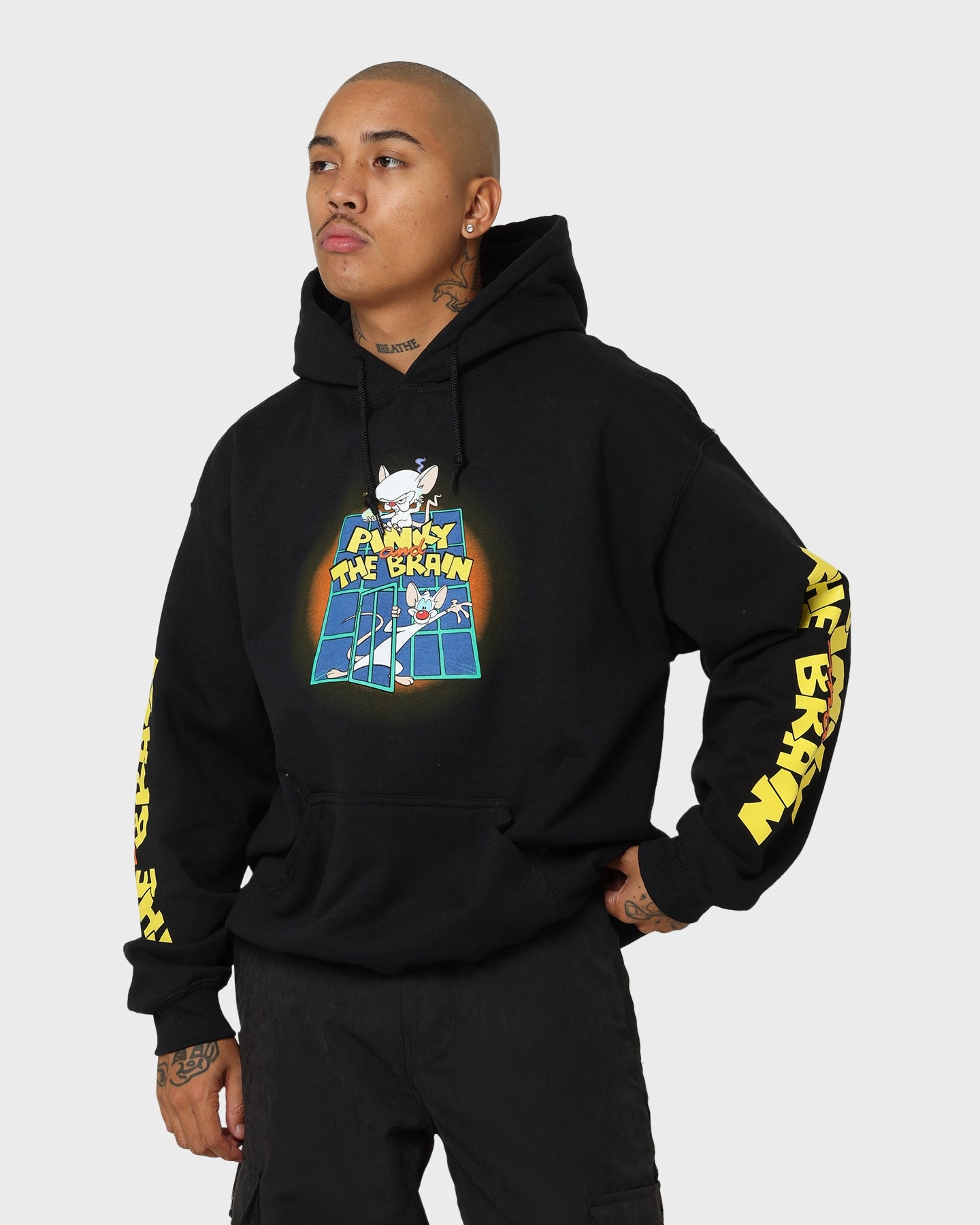 American Thrift X Pinky And The Brain Pinky And The Brain Vintage Hoodie Black Wash Trust