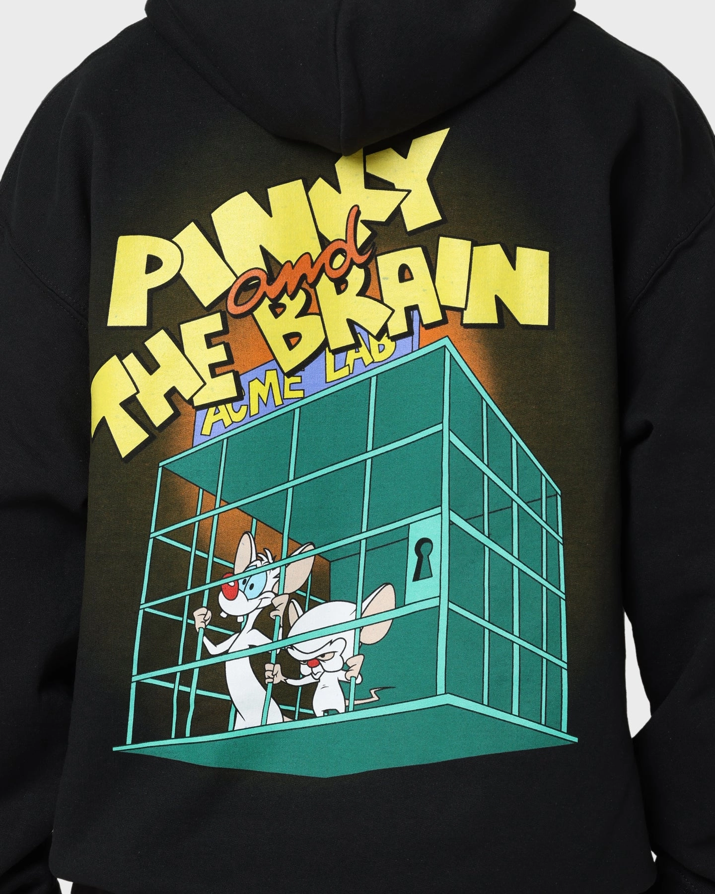 Casual Comfort American Thrift X Pinky And The Brain Pinky And The Brain Vintage Hoodie Black Wash
