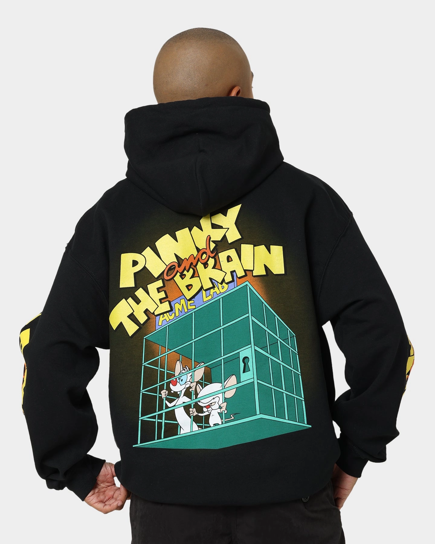 American Thrift X Pinky And The Brain Pinky And The Brain Vintage Hoodie Black Wash Rugged Durability