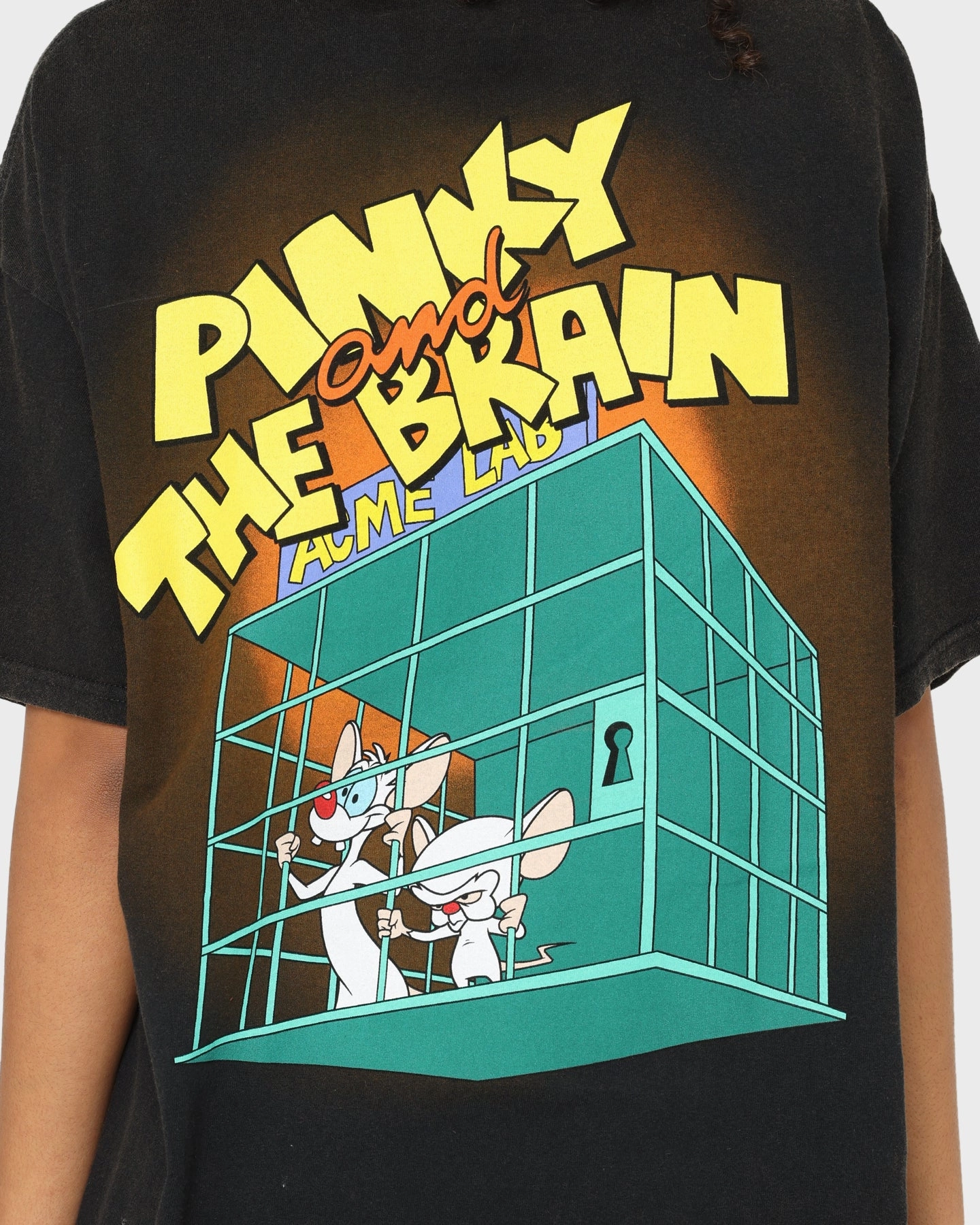 American Thrift X Pinky And The Brain Pinky And The Brain Vintage T-Shirt Black Wash Casual Vibe Wear Daily Style Trend