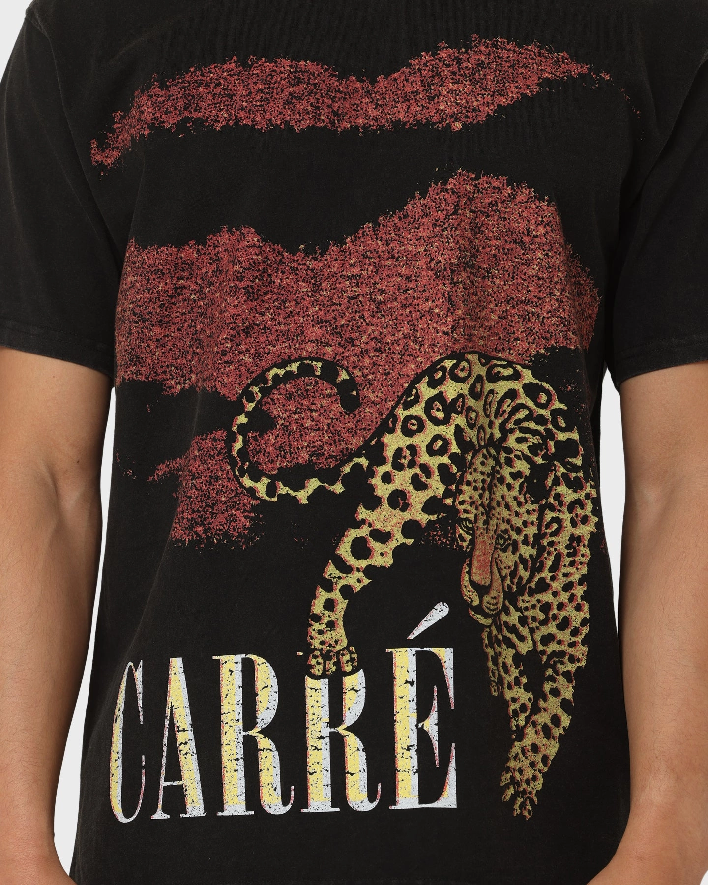 Urban Casual Carr?? Leo Vintage T-Shirt Washed Black