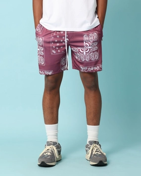 Carr?? Fragment Mesh Shorts Port warm tones Gym apparel