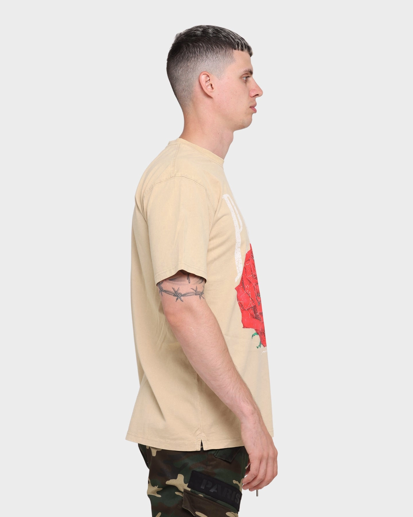 Sleek Layer Carr?? Rose Vintage T-Shirt Stone