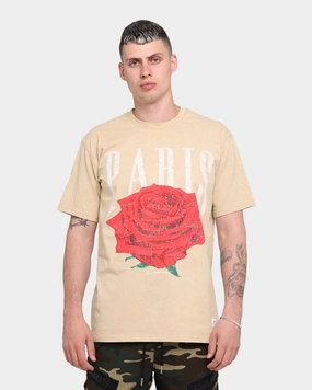 Urban Look Carr?? Rose Vintage T-Shirt Stone