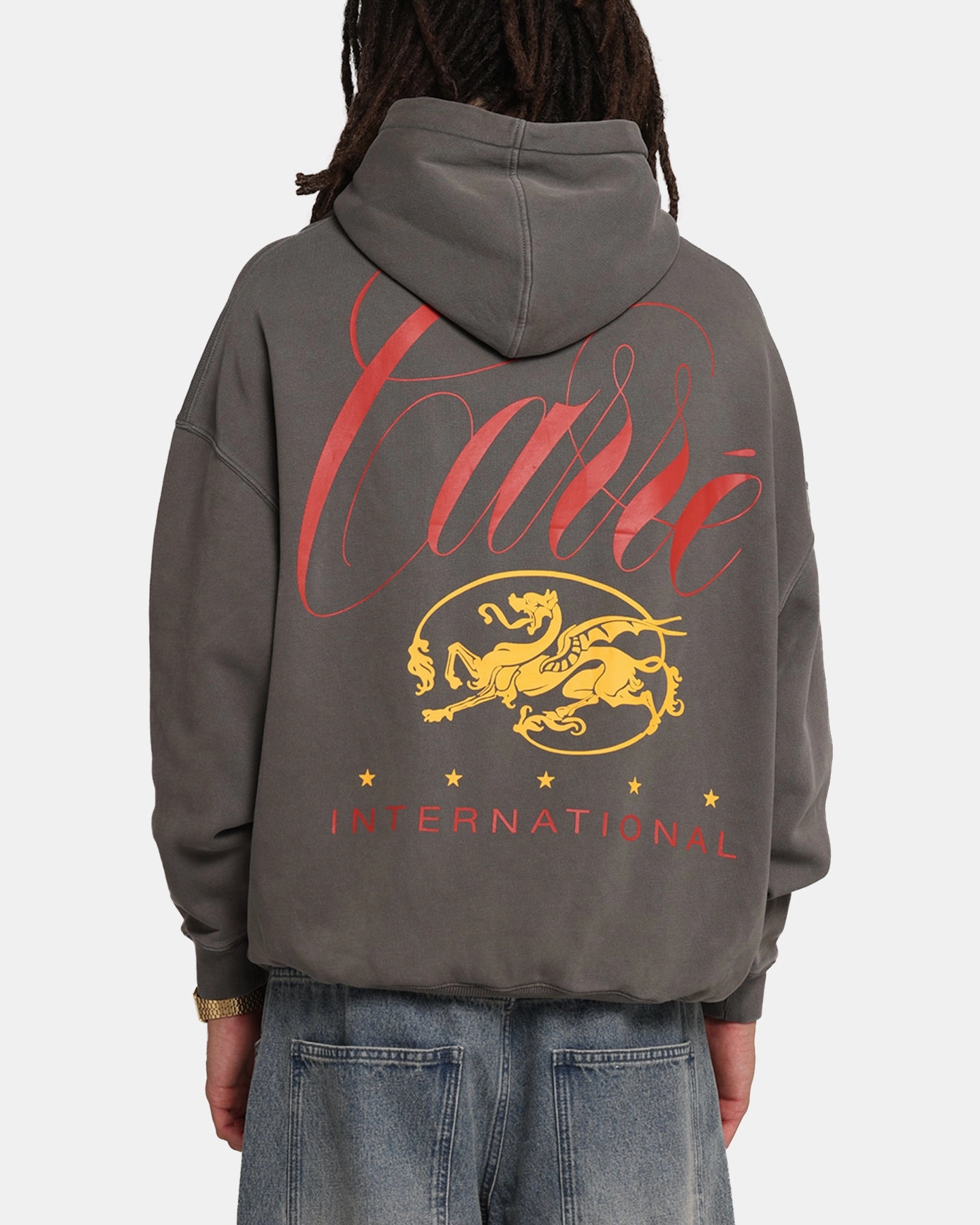 Carre Golden Scale Hoodie Washed Charcoal scientific research Comfort - prioritized