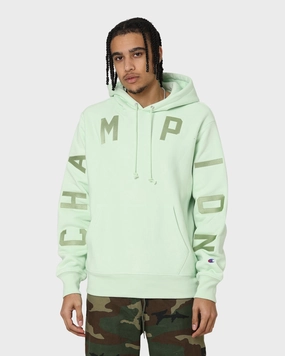 beachgoer Champion Reverse Weave Arch Logo Hoodie Tuft Green