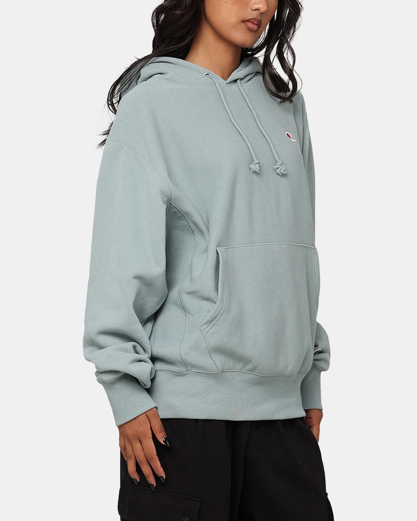 Champion Reverse Weave Terry Hoodie Sage Shimmer Green Option Daily Wear