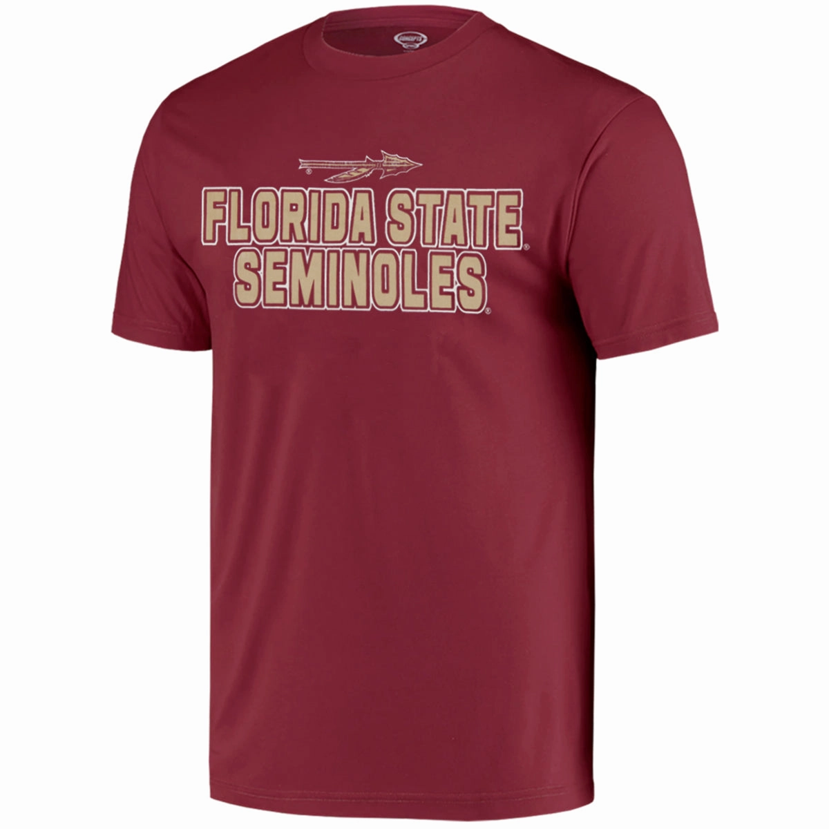 Relax Trend NonIrritating Fabric Comcept Sports Men's Florida State Seminoles/Spear Logo T-shirt and Flannel Pant Sleep Set - Garnet/Gold