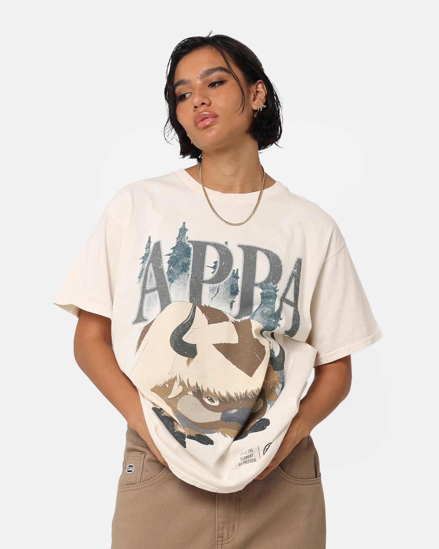 Goat Crew X Avatar: The Last Airbender Appa Vintage T-Shirt Off White Seasonal Wear