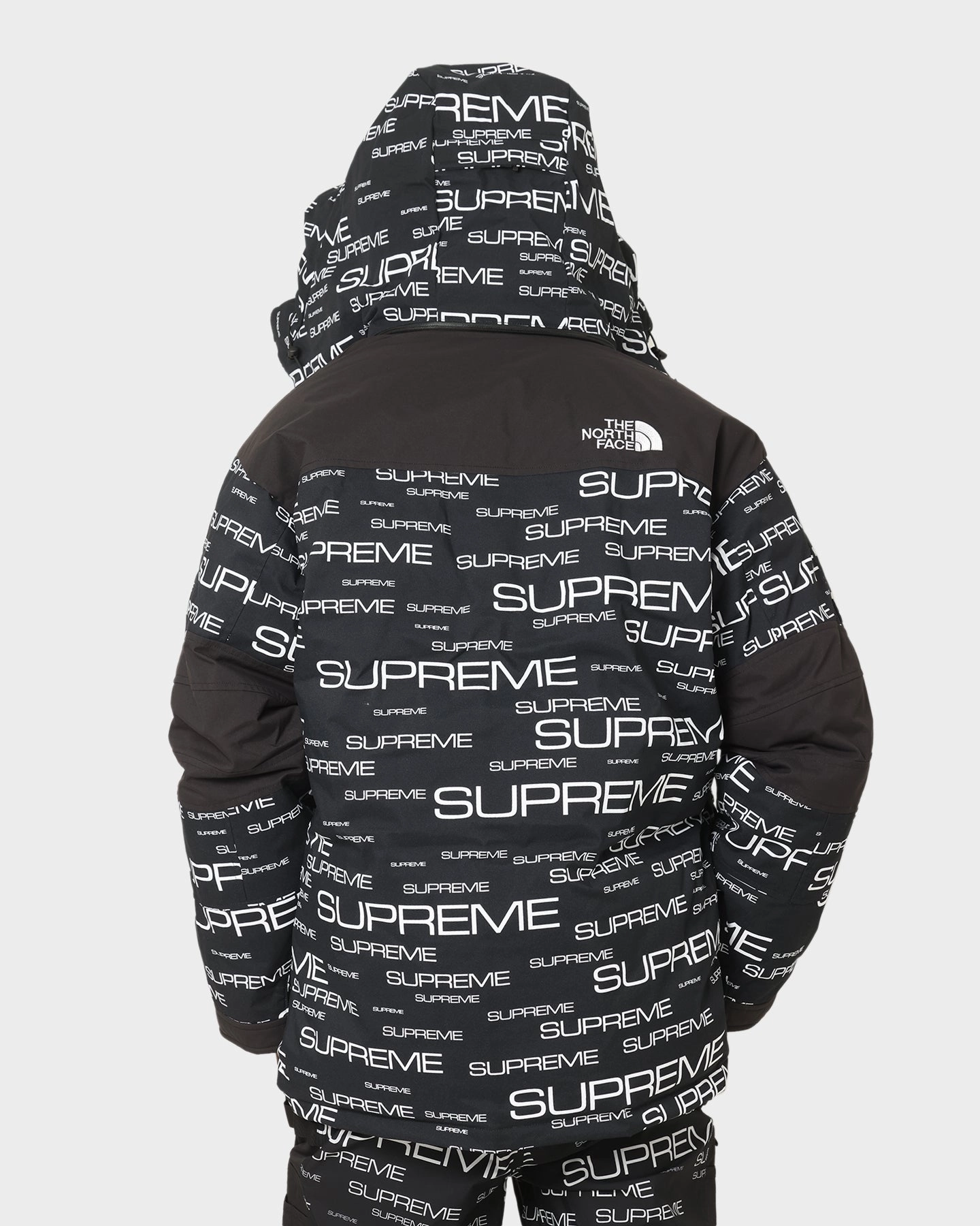 Supreme X The North Face Coldworks 700-Fill Down Parka Jacket Black Quilted Panels