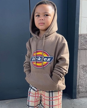 Category Dickies Kid's H.S Classic Hoodie Tobacco