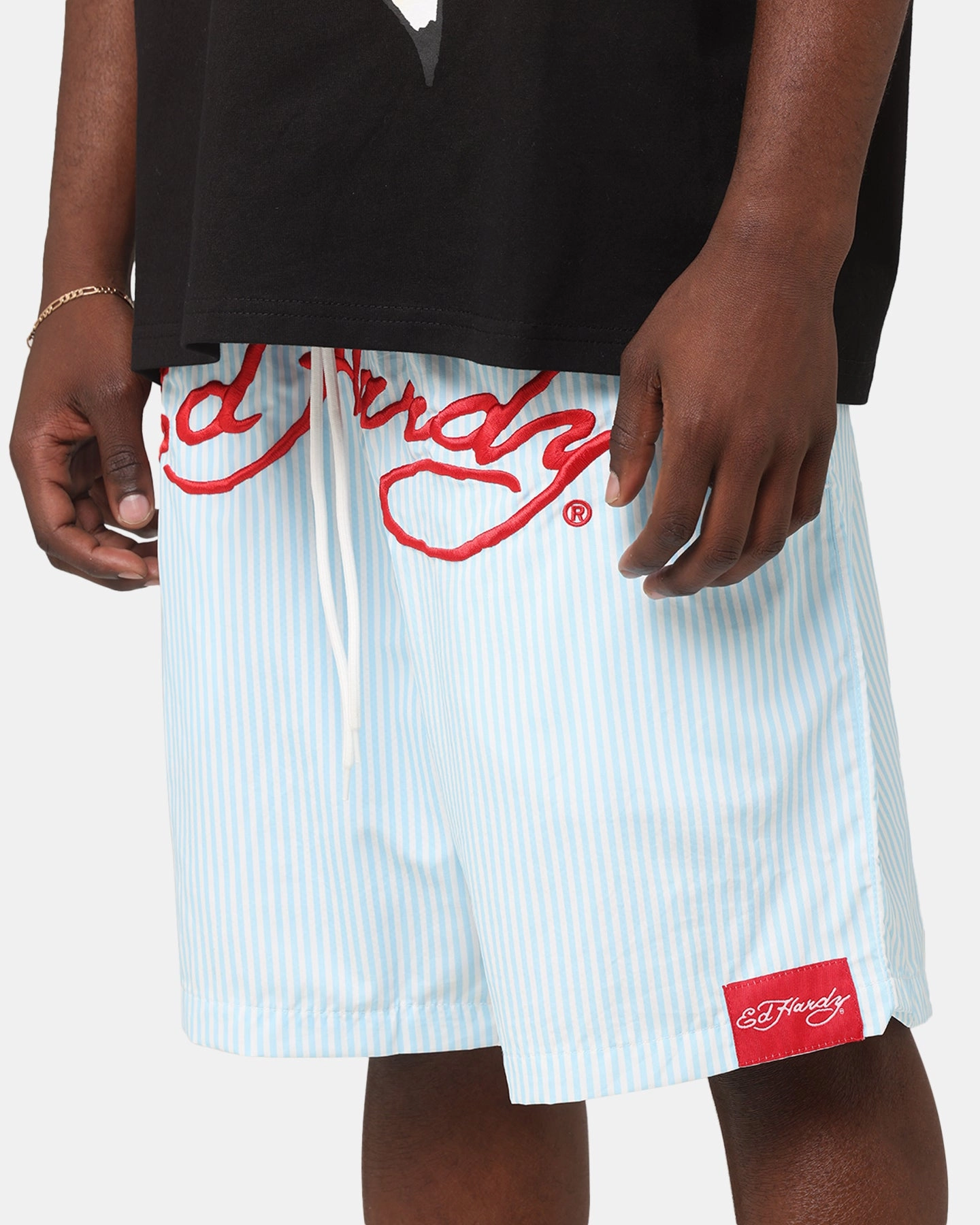 Daytime Style plus-size choice Ed Hardy Beach Shorts Blue Stripe