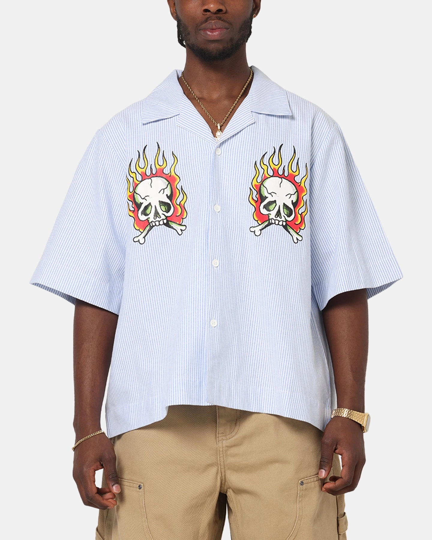 Tropical theme Ed Hardy Flame Stripe Button Up Shirt Blue Pin Stripe