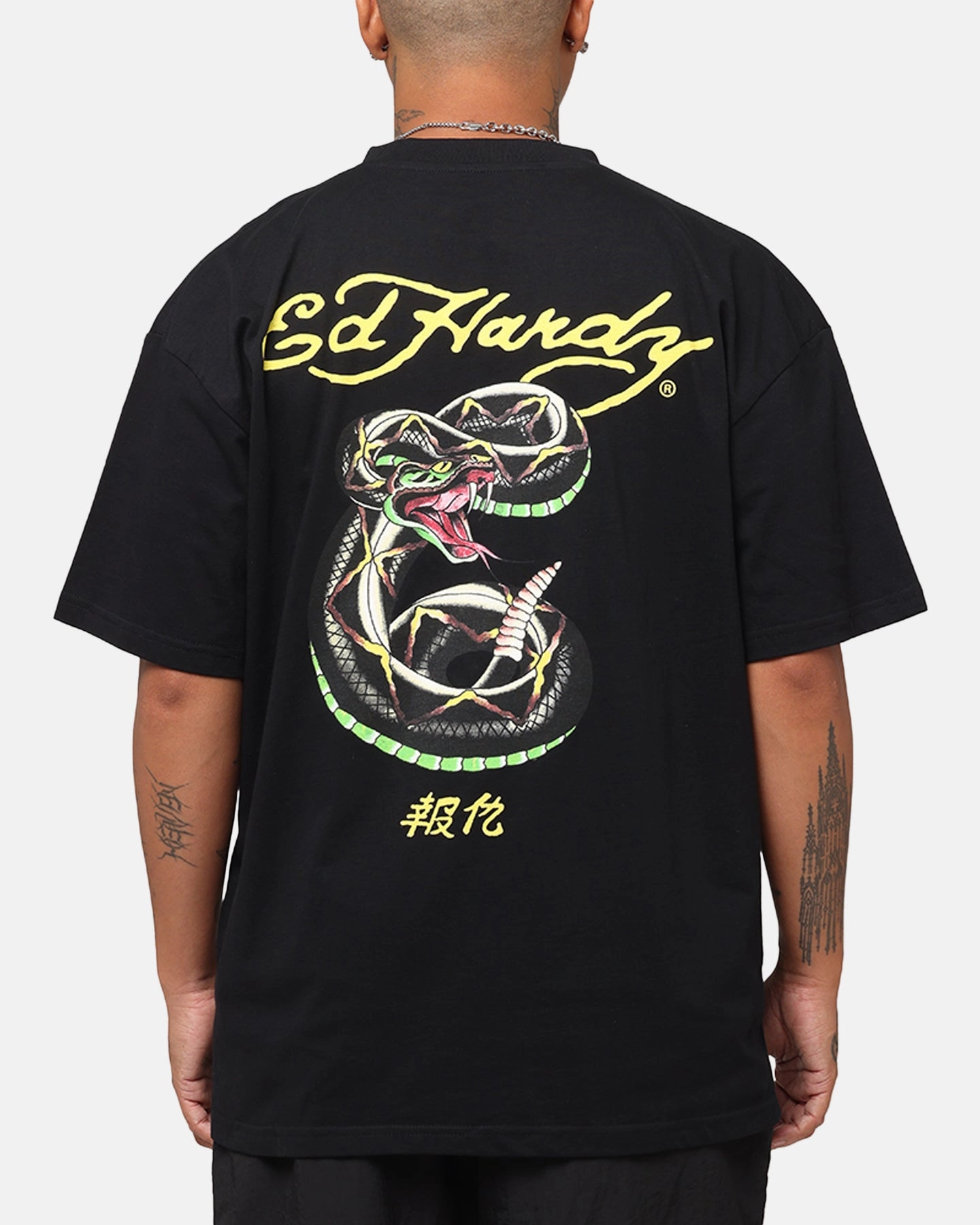Complementary Colors Ed Hardy Rattlesnake Reign T-Shirt Black
