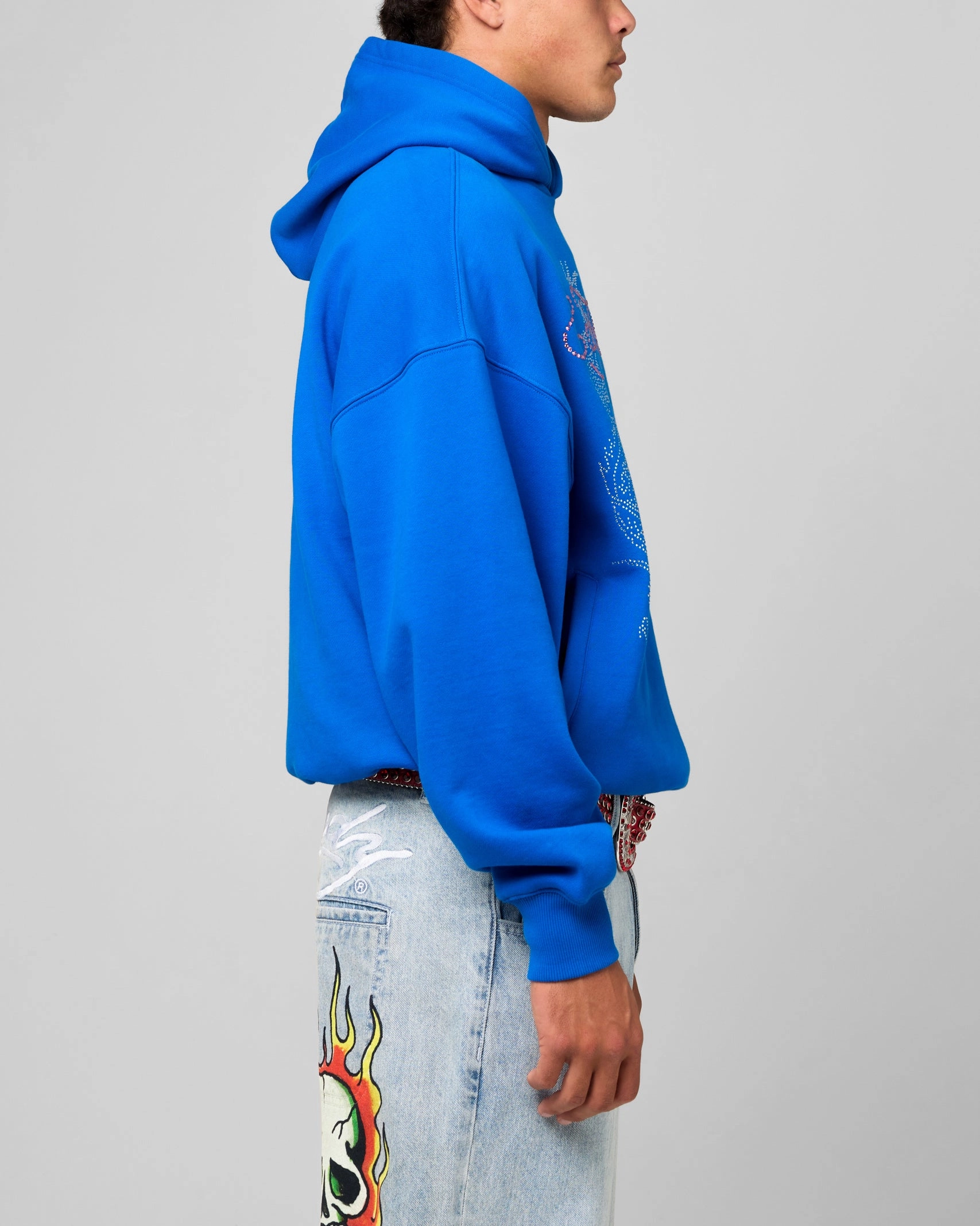 Mountain - capable Ed Hardy Rhinestone Dragon Hoodie Blue