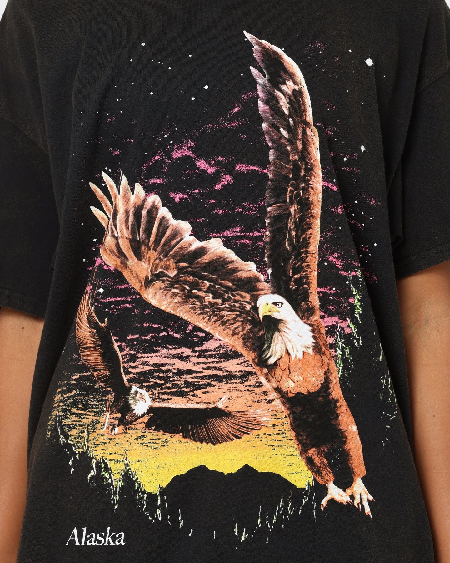 American Thrift Alaska Vintage T-Shirt Washed Black Relaxing Fit Modern Style