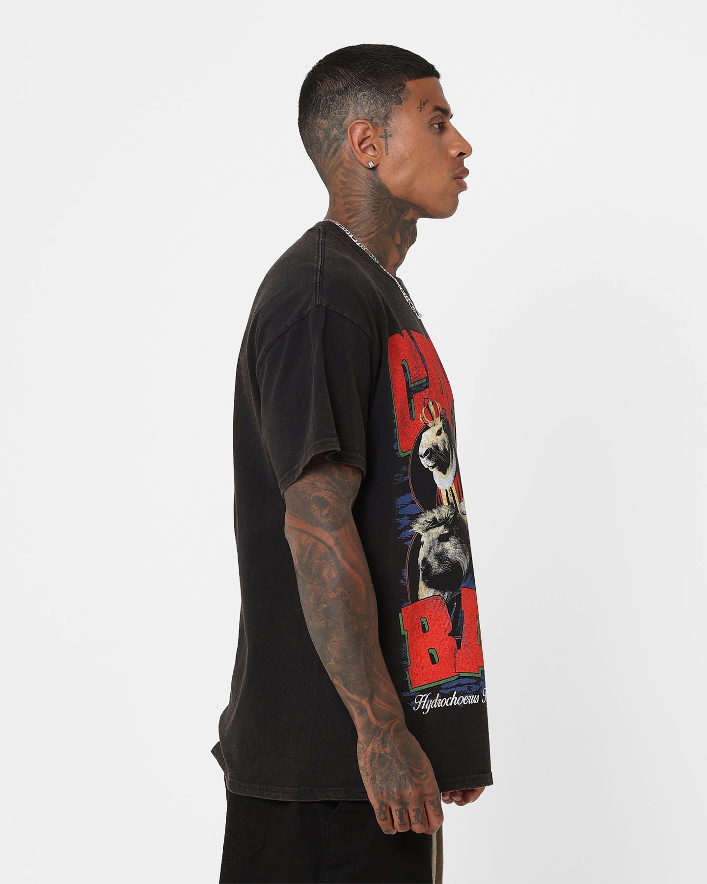Short Sleeve PocketDetail Goat Crew Capybara Vintage T-Shirt Black Wash