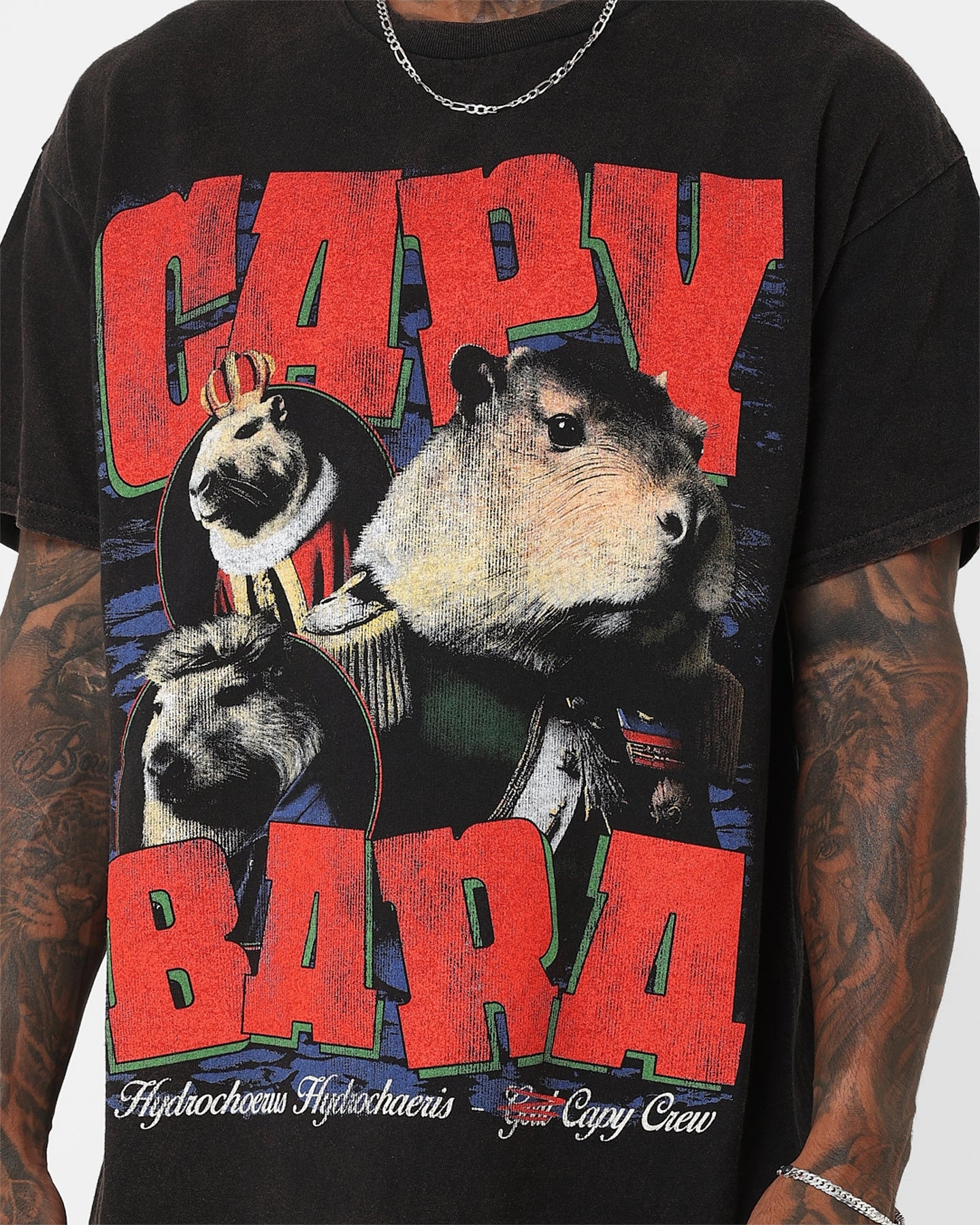 UV Protection Goat Crew Capybara Vintage T-Shirt Black Wash