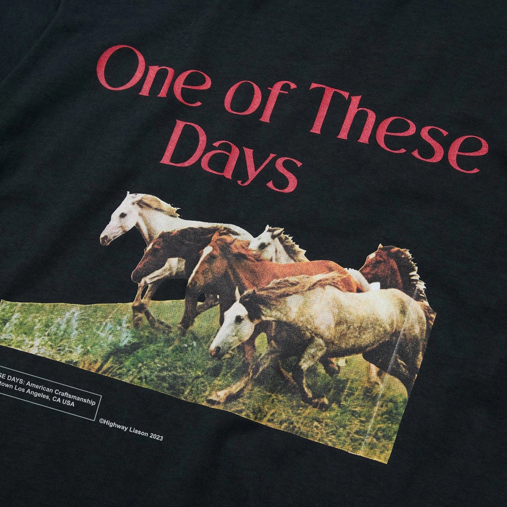 One Of These Days Wild Horses Short Sleeve T- Shirt 'Washed Black' EnhancedDurabilityFinish TemperatureControl Fabric