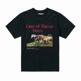 Minimalist Style One Of These Days Wild Horses Short Sleeve T- Shirt 'Washed Black'