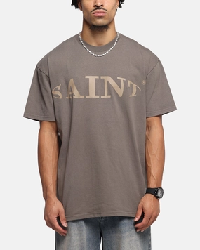 Saint Morta Vision Boxy T-Shirt Brown Sophisticated Casual Casual Look Wear