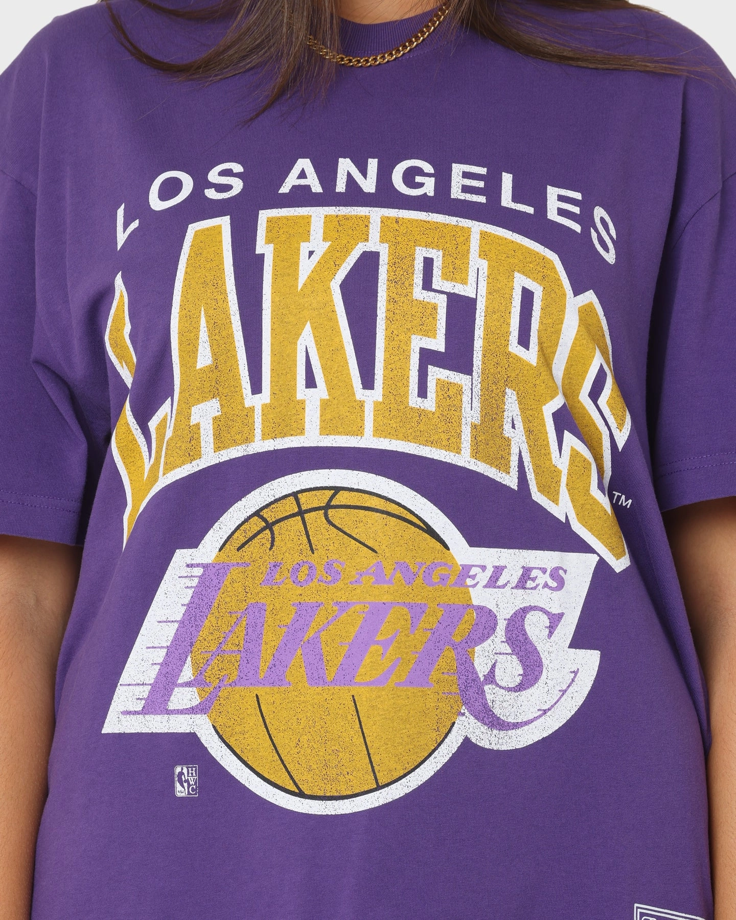 Mitchell & Ness Los Angeles Lakers XL Arch Vintage T-Shirt Faded Purple Playful Vibes Urban Streetwear
