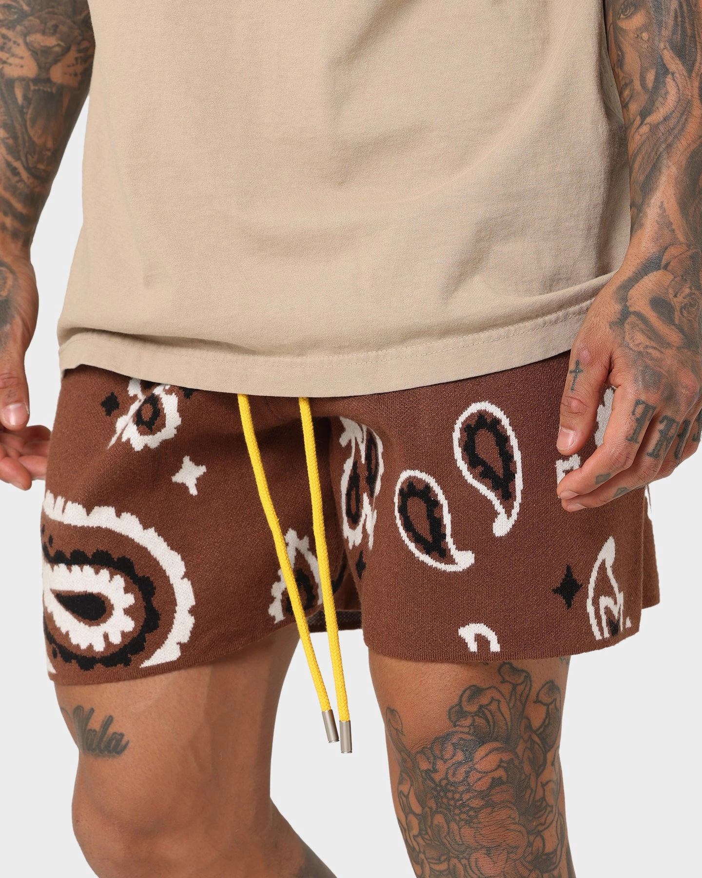 plus-size choice Athletic Vibe MNML Paisley Knit Shorts Brown