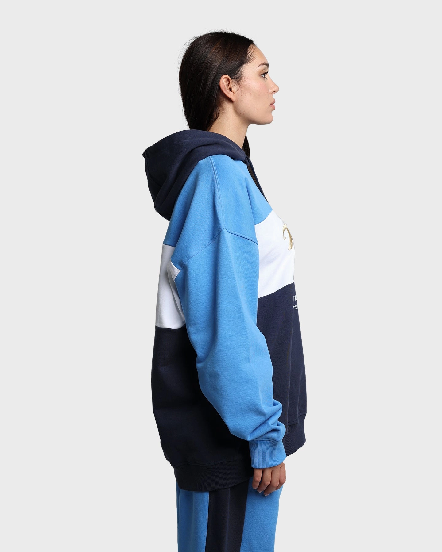 Active Protection Aim Tommy Jeans TJM Archive Hoodie Twilight Navy
