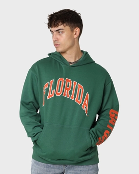 National Collegiate Athletic Association Florida Gators Puff Print Hoodie Kelly Green Performance Optimized Fit