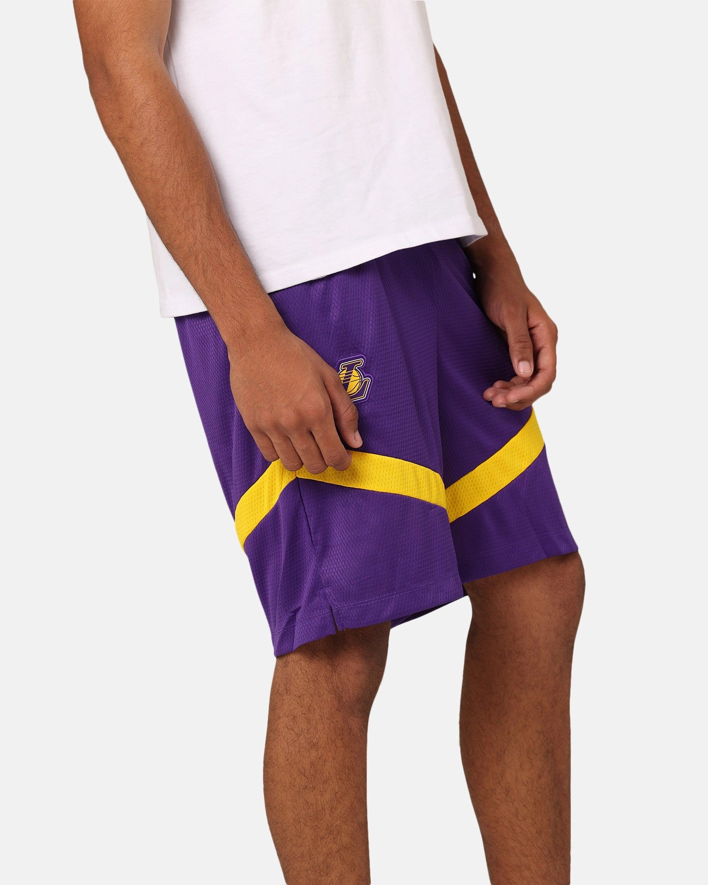 School Uniform Nike Los Angeles Lakers Dri-FIT Practice Icon  Shorts Field Purple