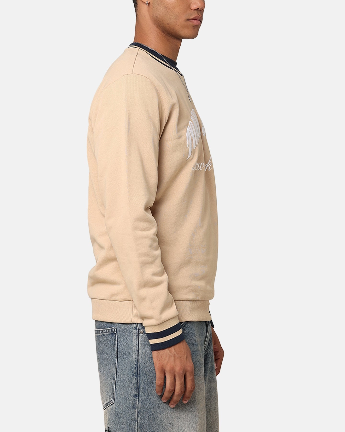 Outdoor Adventure Tommy Jeans TJM Reg Tipping Varsity Crewneck Tawny Sand