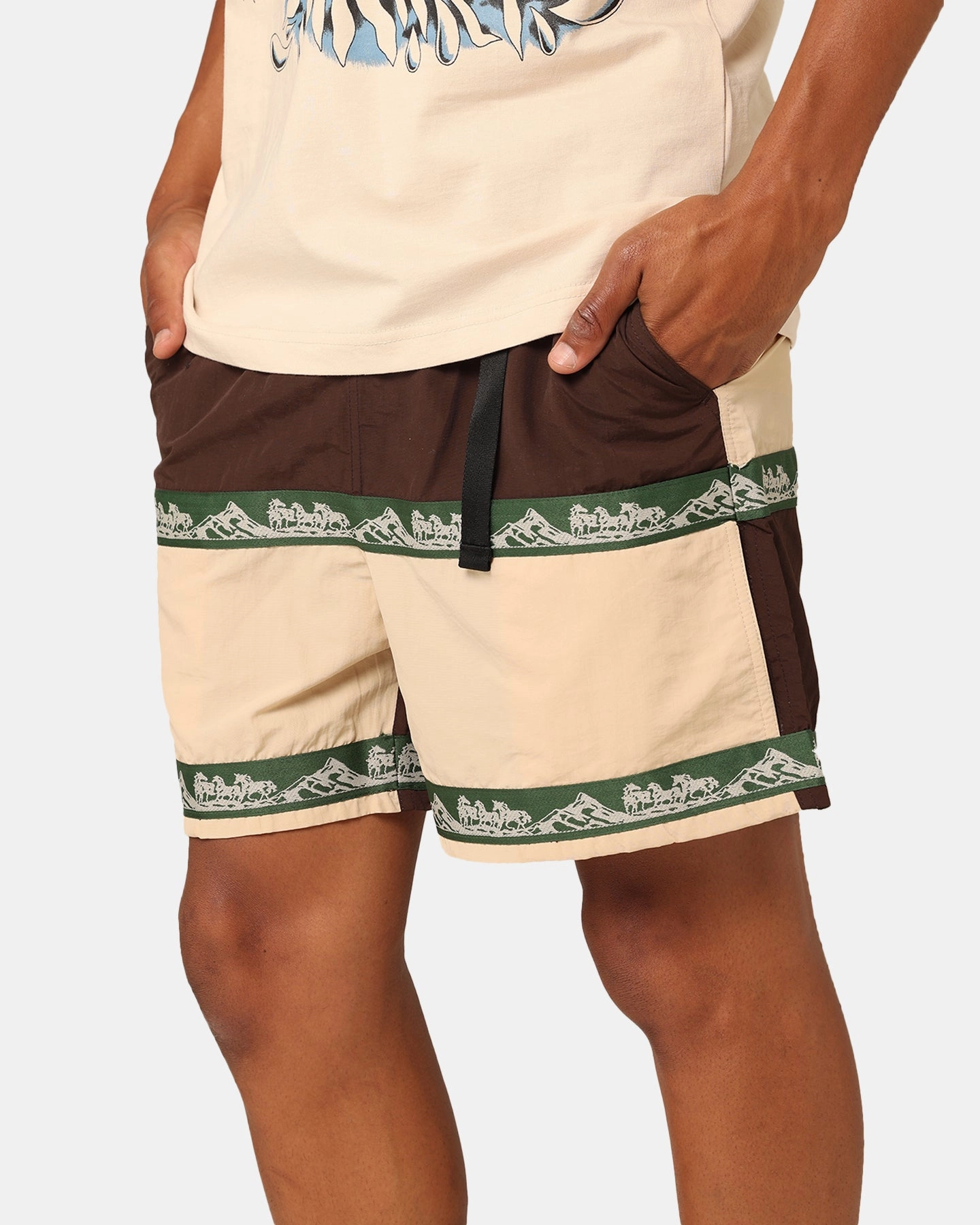 Market Sequoia Tech Shorts Multi Sustainable