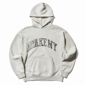 Defense - focused Dynamic Fit Design Awake Ny Snake Skin Applique Hoodie 'Heather Grey'