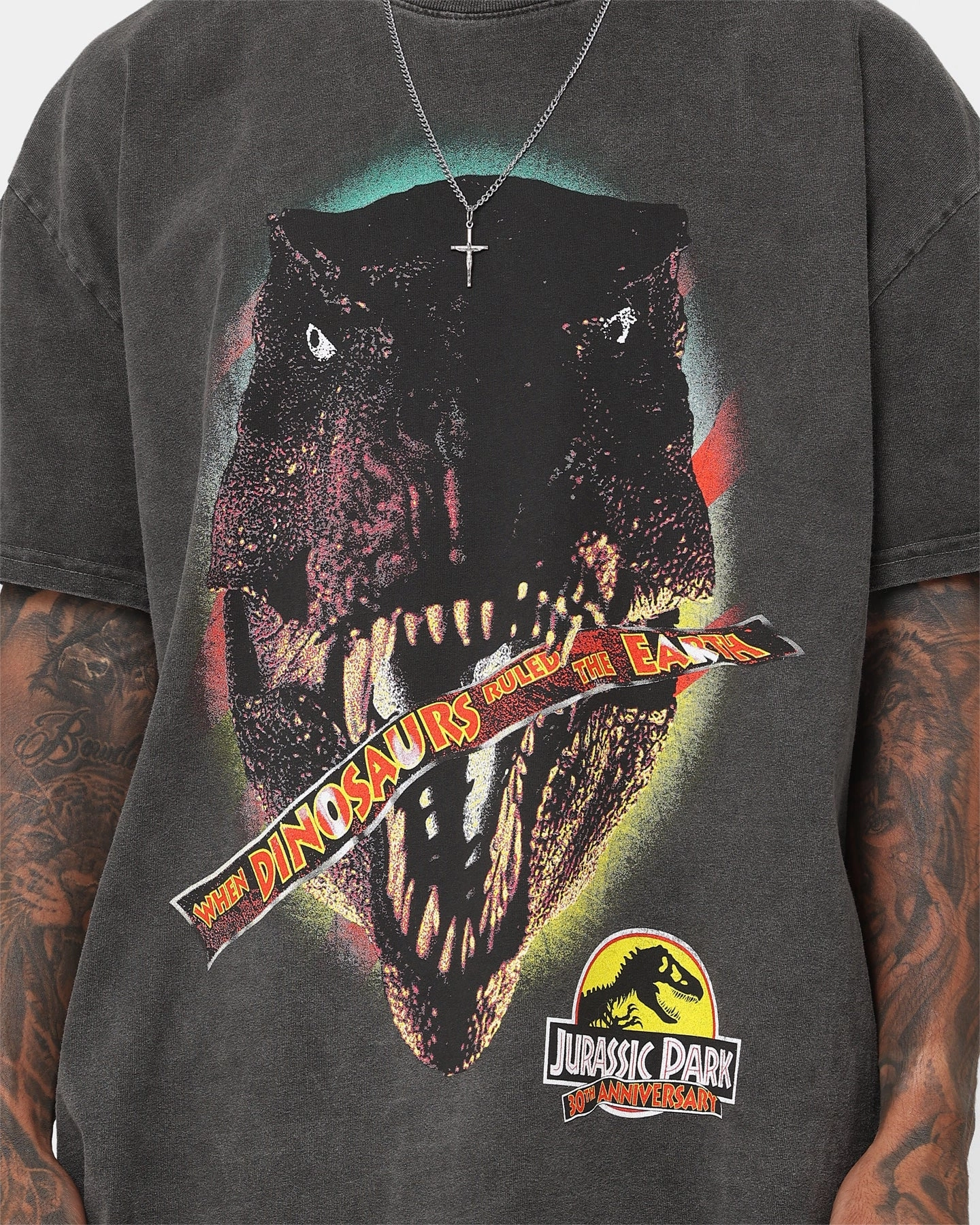 Sports Outfit American Thrift X Jurassic Park 30th Anniversary Heavyweight Vintage T-Shirt Black Wash