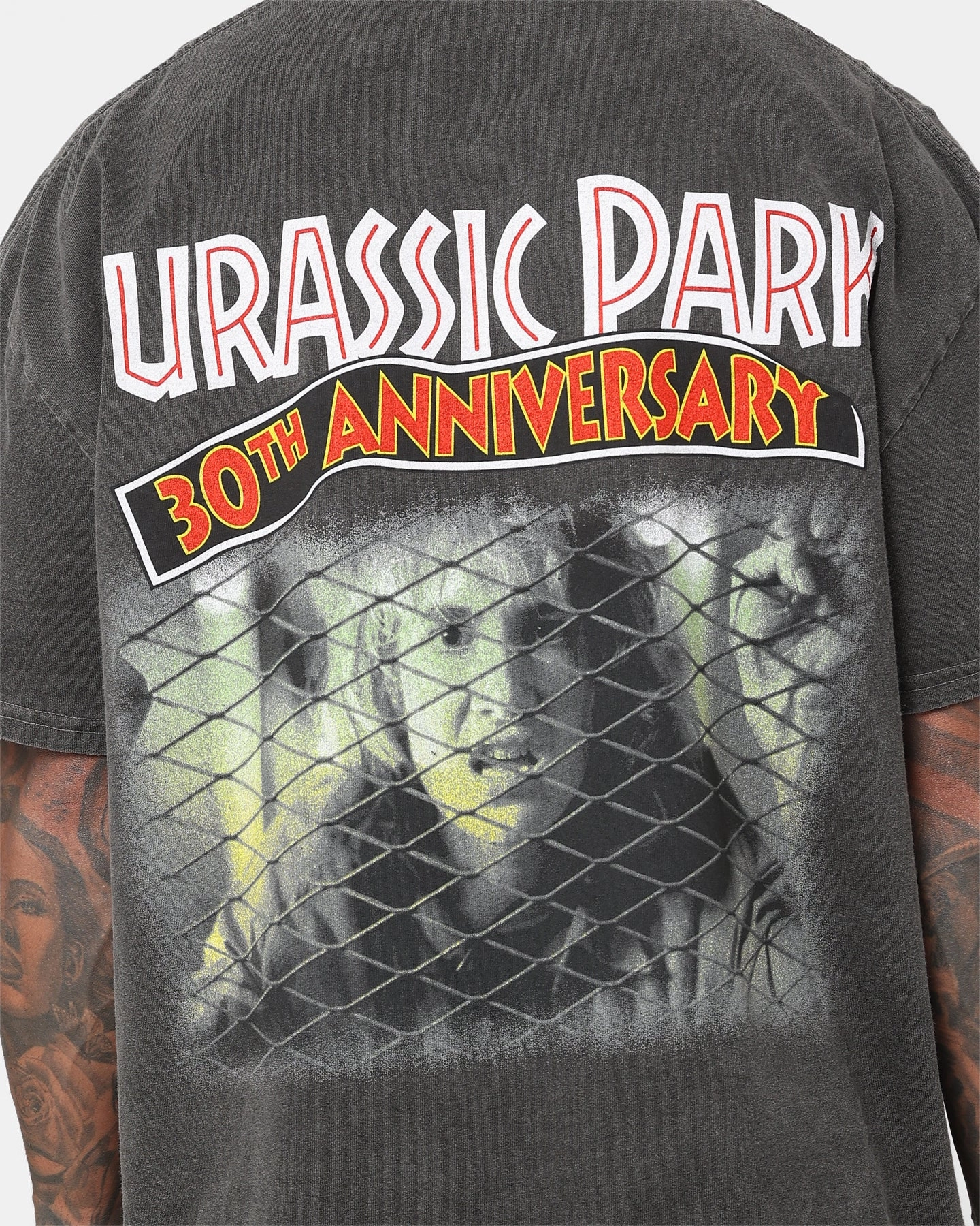 American Thrift X Jurassic Park 30th Anniversary Heavyweight Vintage T-Shirt Black Wash DurableStitching
