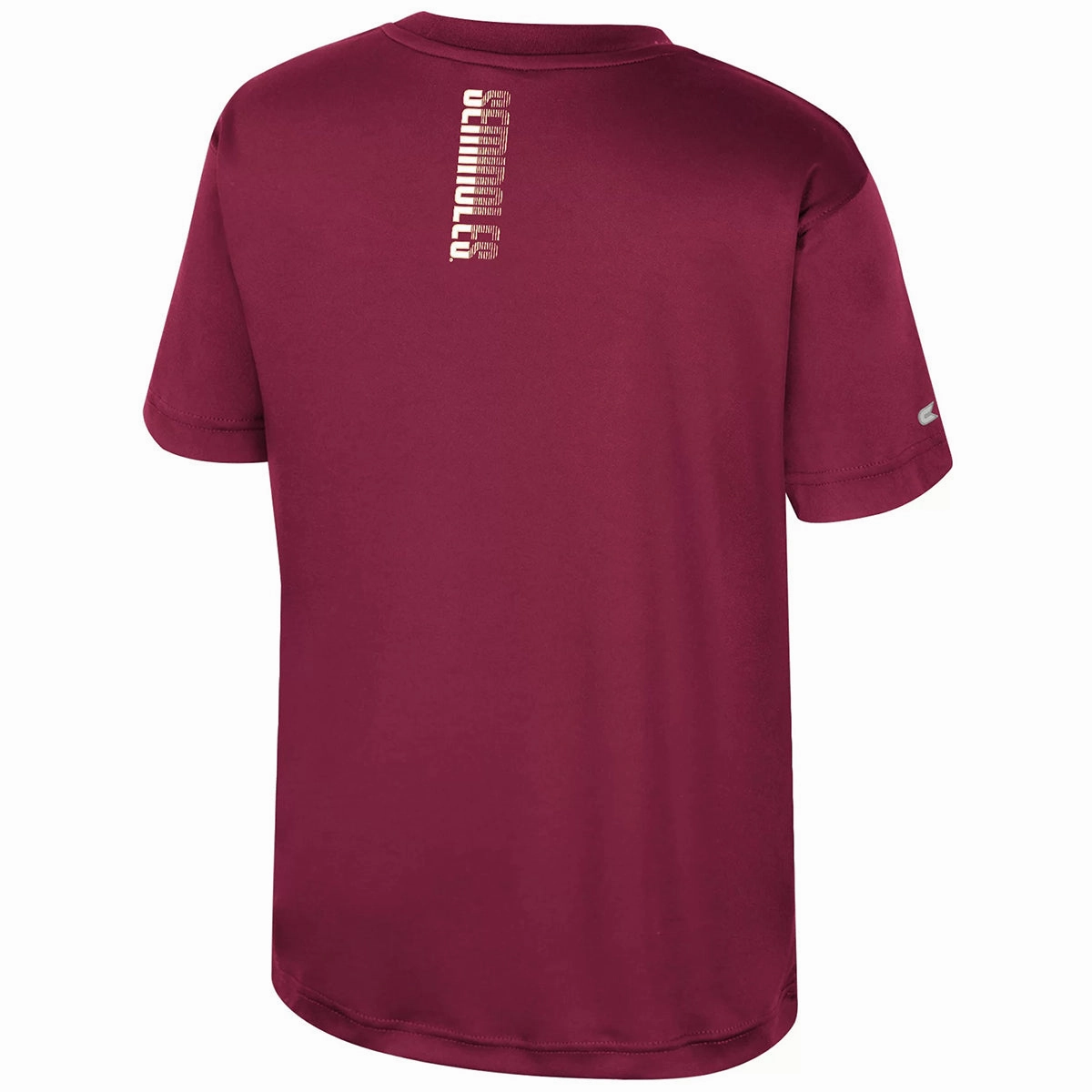 Colosseum Youth Seminole Logo Florida State Design Short Sleeve Performance T-shirt - Garnet Non Fading Material