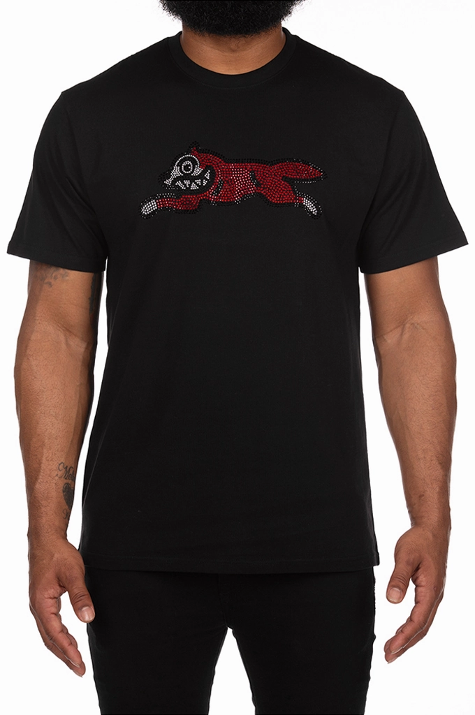 Customizable Icecream Glacier SS Tee