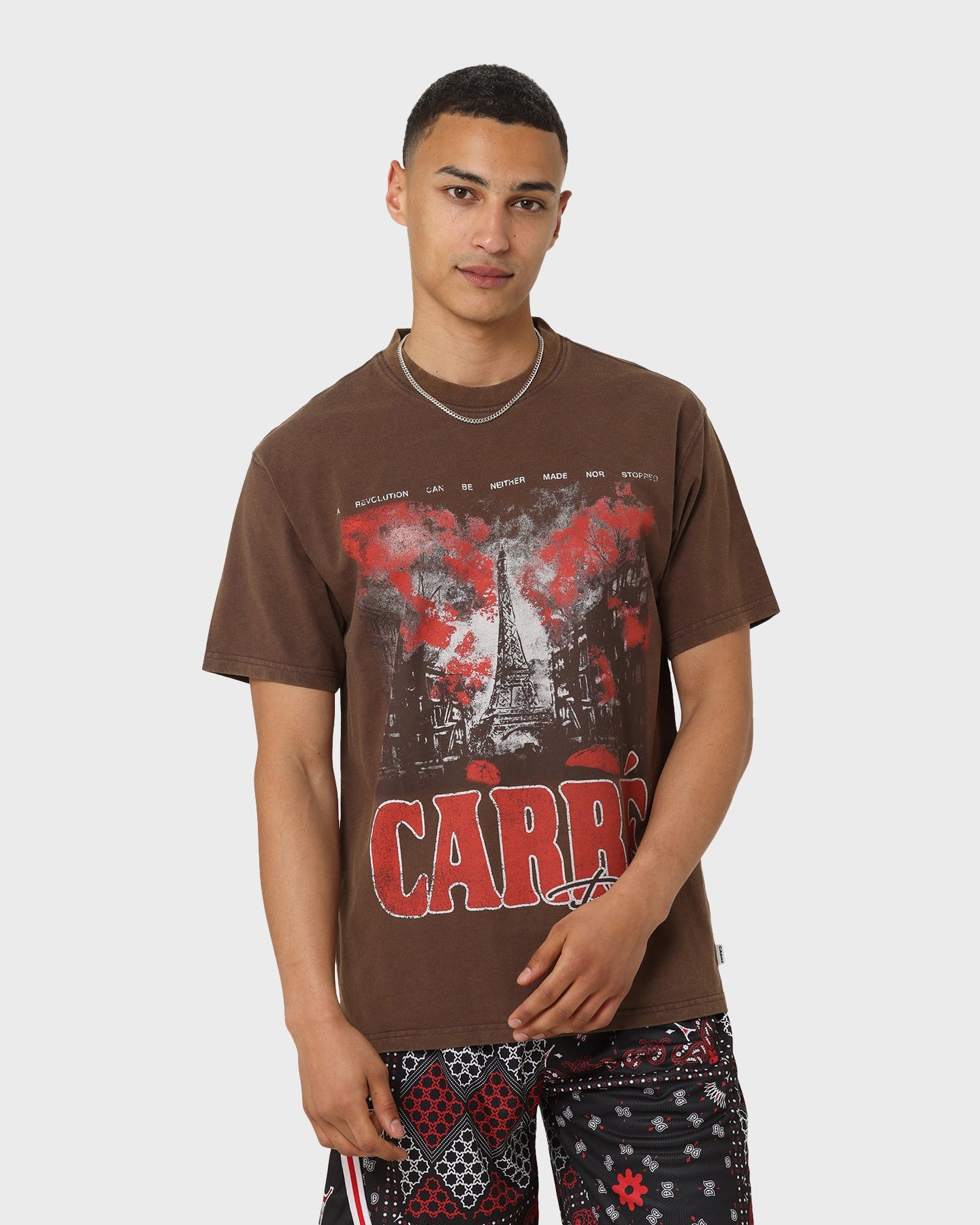Chic Cut Carr?? Autumn Vintage T-Shirt Washed Brown