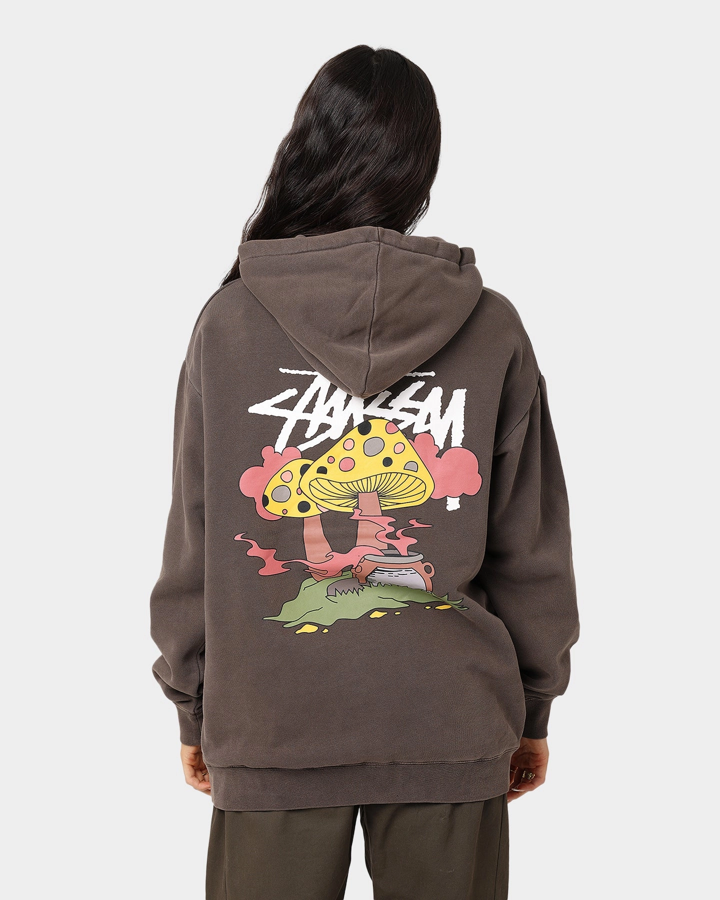 Stussy Something's Cooking Hoodie Brown Pigment Machine-washable Bronzer