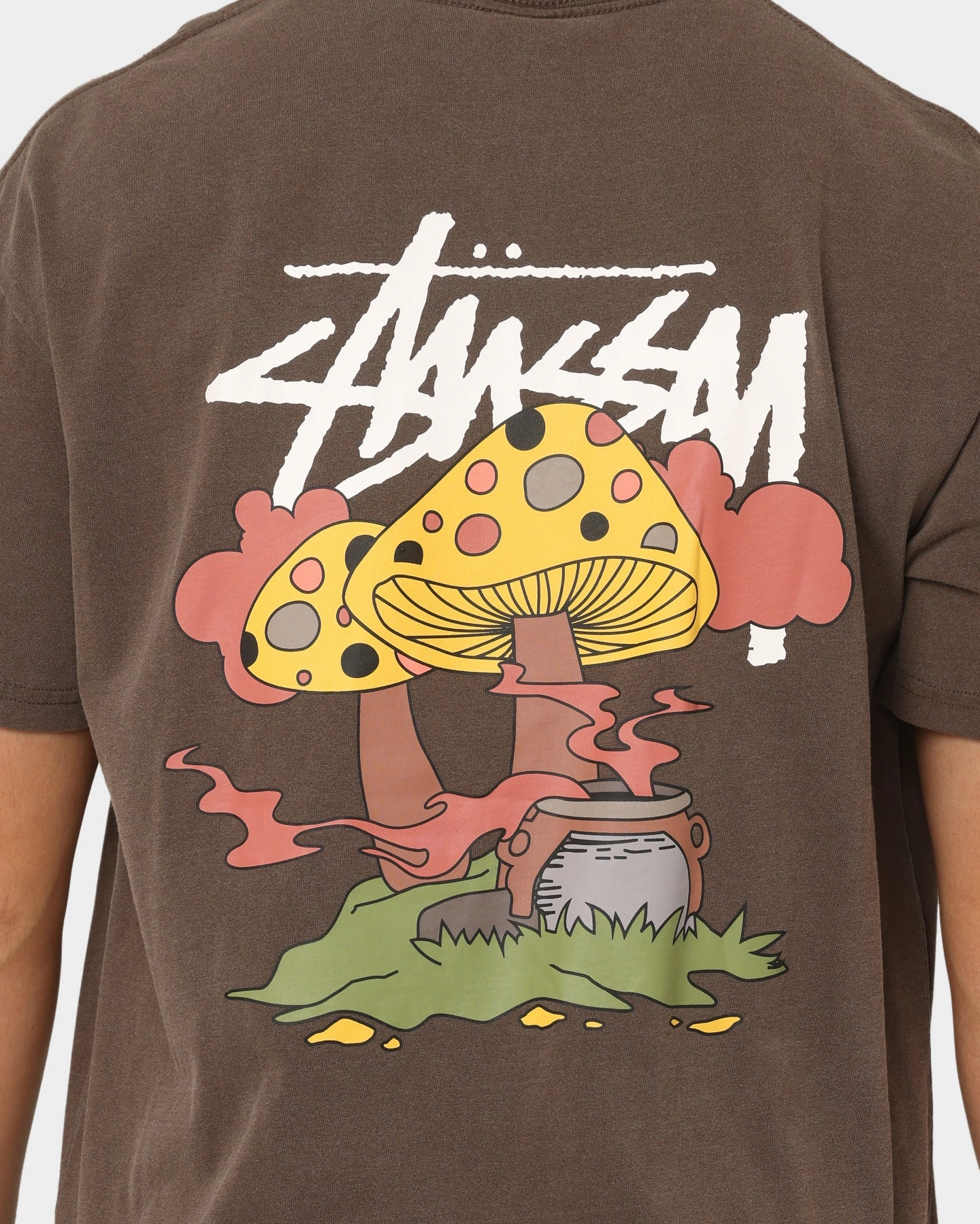 Stussy Something's Cooking T-Shirt Brown Pigment Party fun