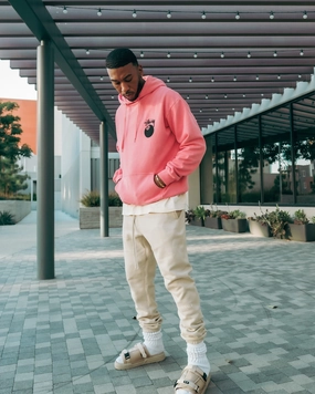 Grid Fleece Lining Stussy 8 Ball Hoodie Pigment Confetti