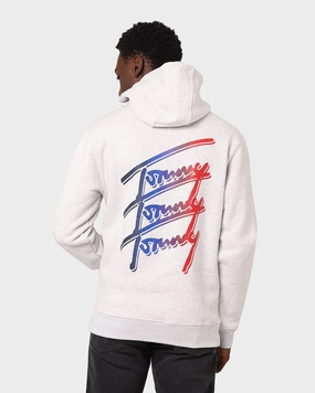 Tommy Jeans Essential Script Hoodie Silver/Grey Heather Daily Wear