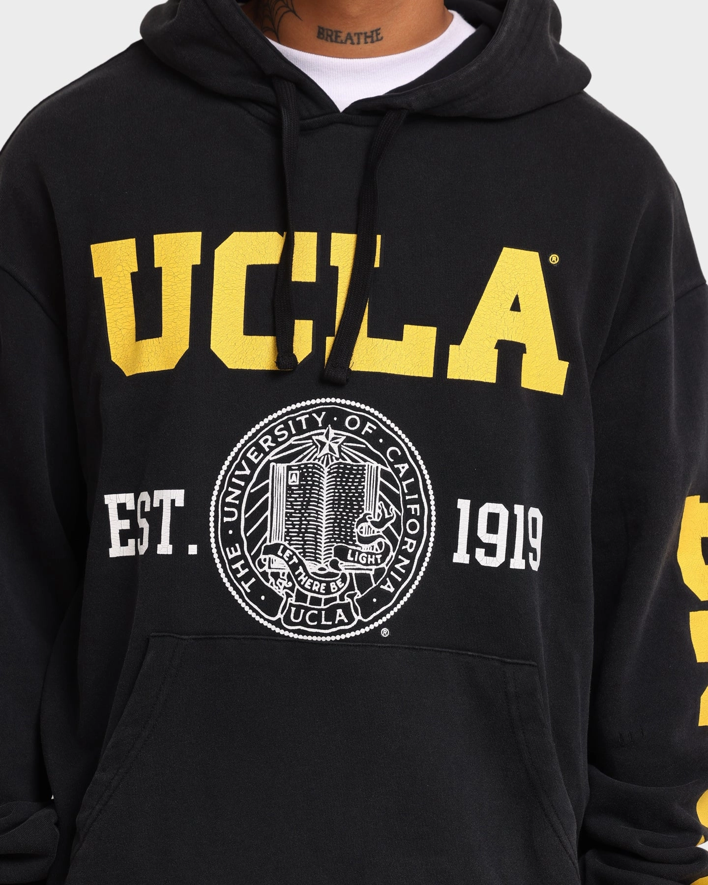 suitable for group activities Improve UCLA UCLA 1919 Shield Vintage Hoodie Washed Black
