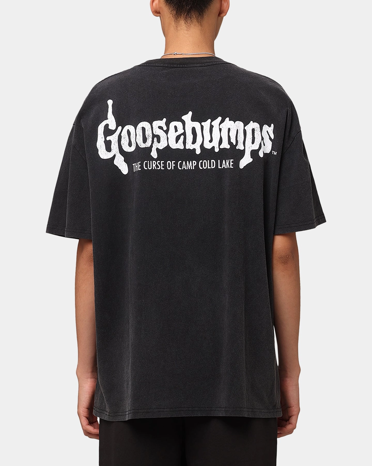 American Thrift X Goosebumps Cold Lake Heavy T-Shirt Vintage Black Holiday Style Trend